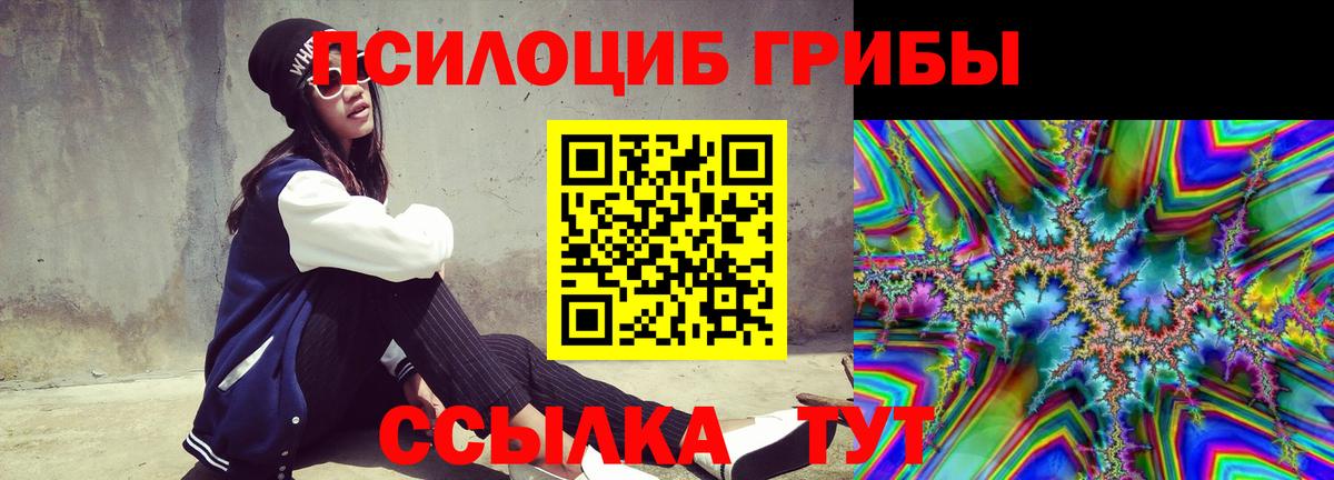 Королёв  Псилоцибиновые грибы ЛСД  Галлюциногенные грибы Cubensis  Вход с VPN 